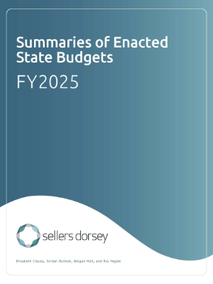 Enacted State Budget Summaries