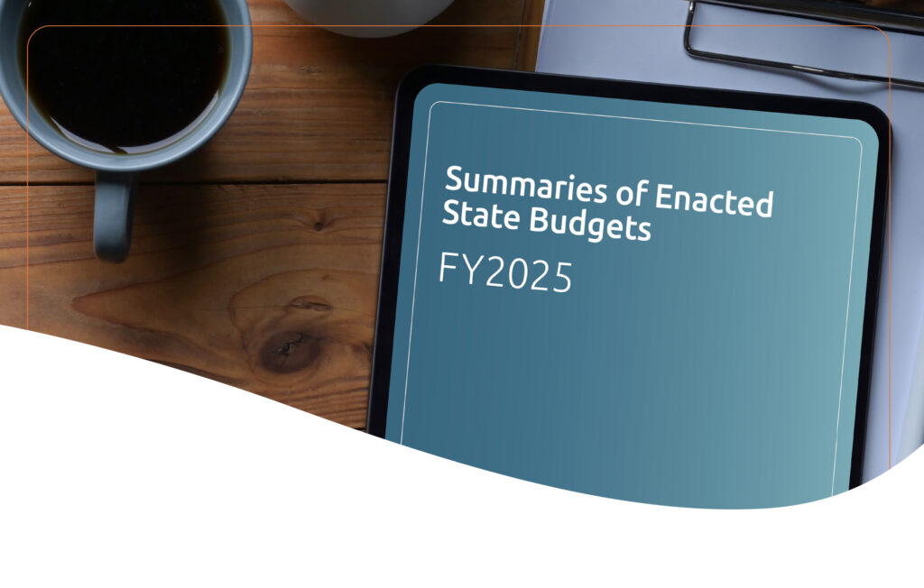 Summaries of Enacted State Budgets FY2025